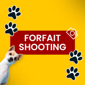 Studio Photo 100 Papattes | Forfait Shooting à 99€
