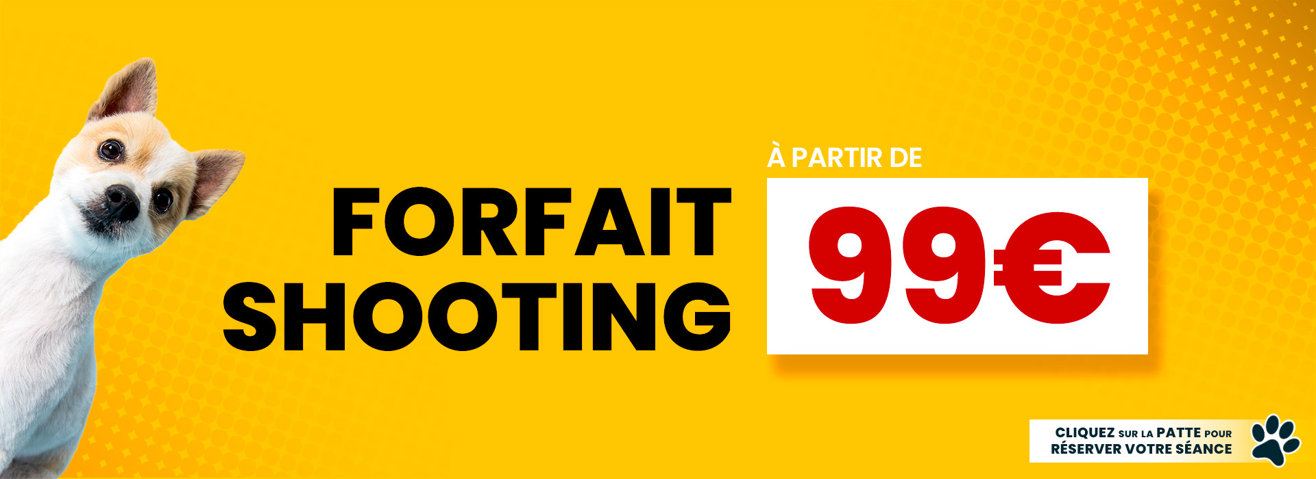 Studio Photo 100 Papattes : Forfait Shooting pour Chien ou Chat à partir de 99€