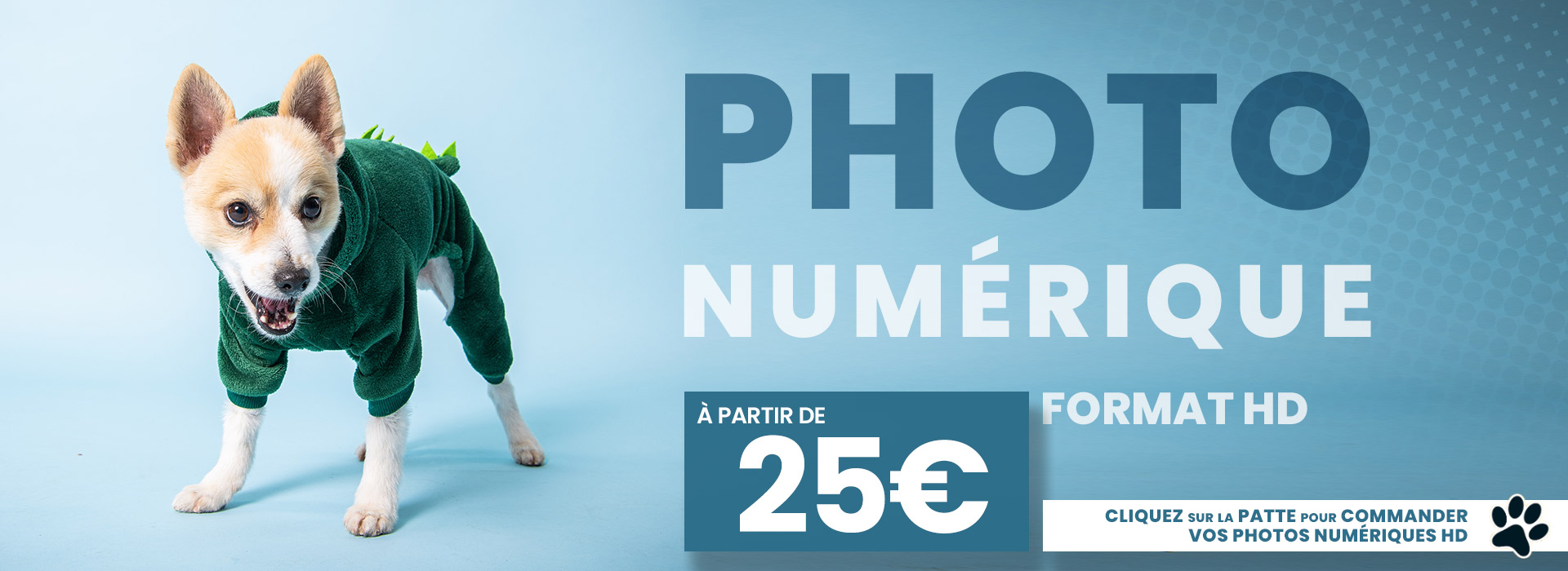 Studio Photo 100 Papattes : Photo Numérique au Format HD pour votre Chien ou Chat à partir de 25€