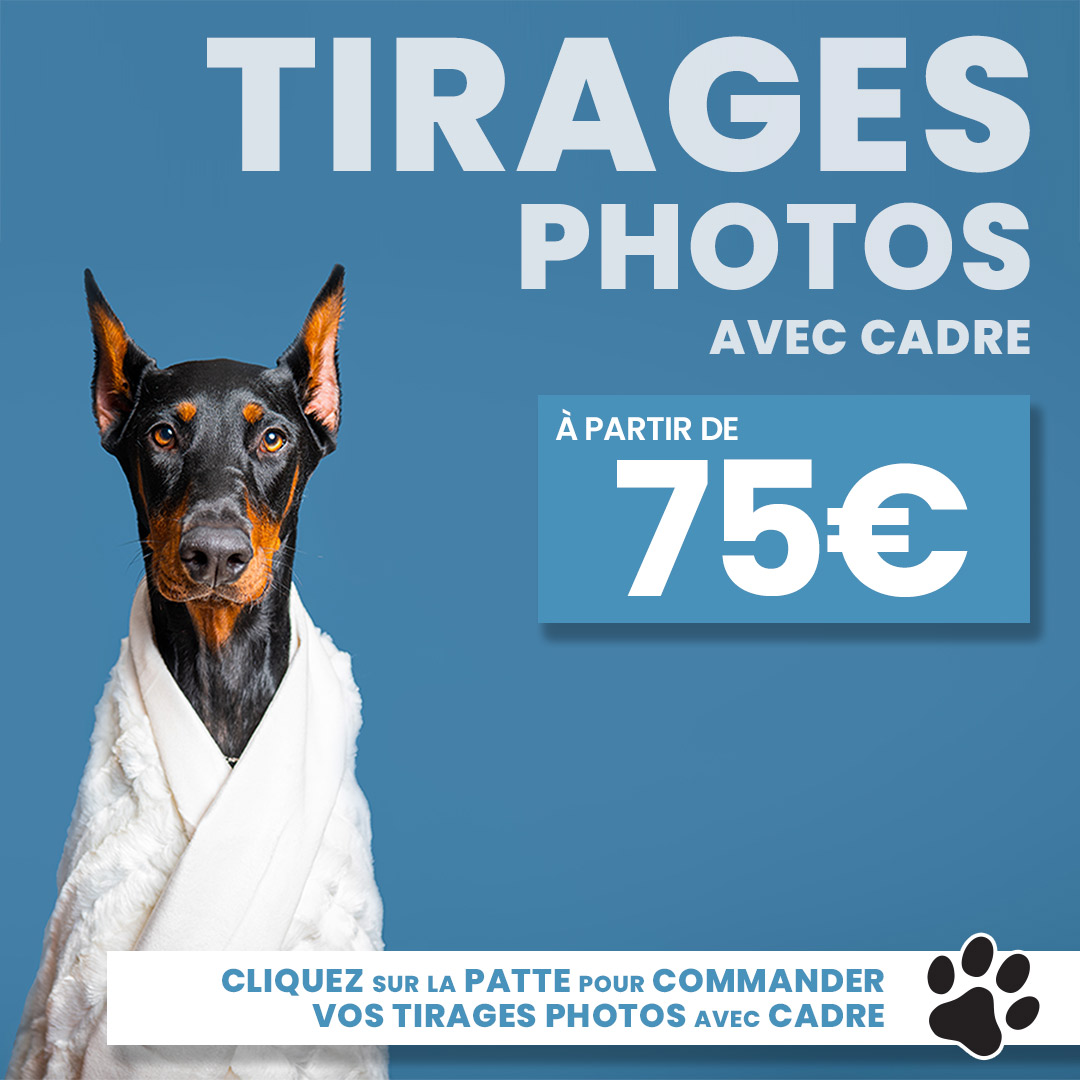 Studio Photo 100 Papattes : Tirages Photos avec Cadre pour votre Chien ou Chat à partir de 75€